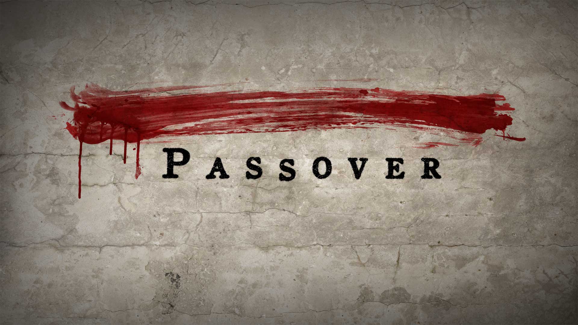Image result for passover lamb